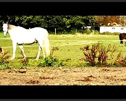 Header4 med film kant