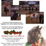 Adamslystjul2019